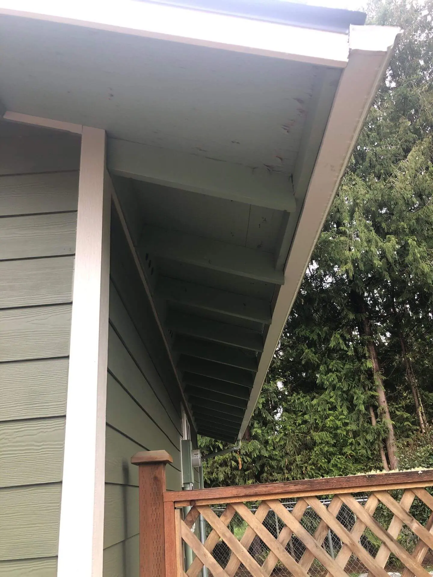Detached shed not matching new house siding color in Maple Valley WA backyard